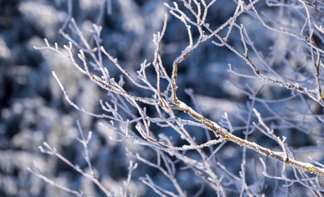 Зміни лютого 2026: воєнний стан, мобілізаія, виплати дітям та єОселя