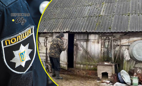 Жінка мусила ночувати в сараї, бо син не впустив її в хату: хроніка поліції