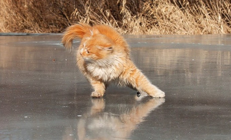 Погода на лівобережжі Херсонщини з 29 по 31 січня: прогноз Українського гідрометеоцентру