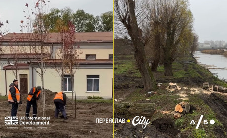 Як ви оцінюєте результати озеленення Переяслава за минулий сезон?
