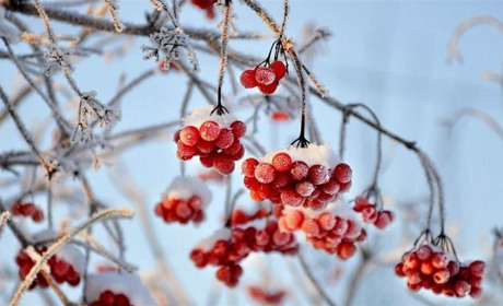 Що зміниться для українців з 1 лютого 2026 року: виплати, бронювання, відпустки