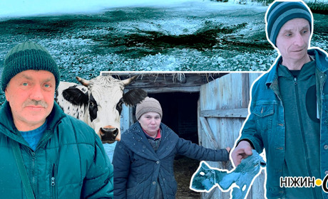 Під ударами шахедів: понівечені будівлі, всіяні уламками подвір'я, загибла худоба