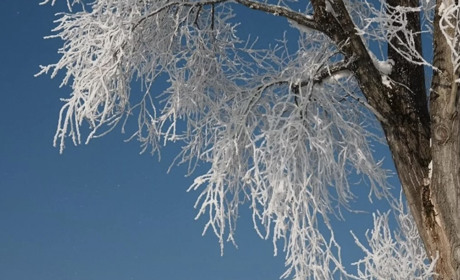 Ожеледиця та морози до -25 градусів: якою буде погода у Гадячі протягом тижня