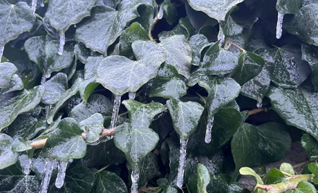 Коли зима зустрічається з весною: історія, традиції та прикмети на Стрітення