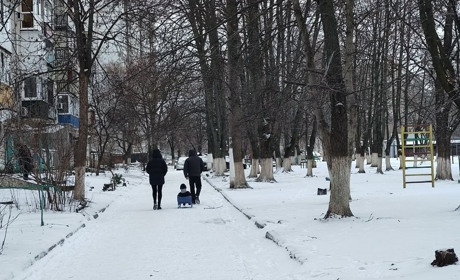 Коли минуть морози і прийде тепло: що віщує бабак Тимко IV та прогнозують синоптики