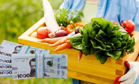 Жителі Березівської громади можуть отримати грант на розвиток власного господарства