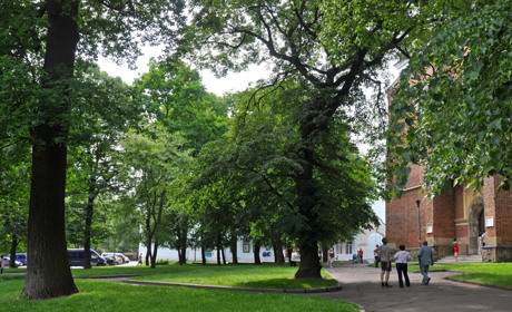 У Дрогобицькій громаді хочуть капітально відремонтувати сквери, але мають долучитися мешканці