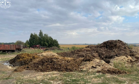 У Миргородському районі судитимуть керівника підприємства за забруднення земель