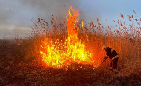 На Одещині судитимуть жінку, яка палила сміття і спричинила масштабну пожежу на полях