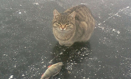 Погода на лівобережжі Херсонщини з 10 по 12 серпня: прогноз Українського гідрометеоцентру