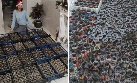 Біляївчанка виготовила та передала на фронт велику партію окопних свічок: хто їй у цьому допоміг