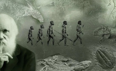 12 лютого: День Дарвіна та інші дати, події, свята, народні прикмети