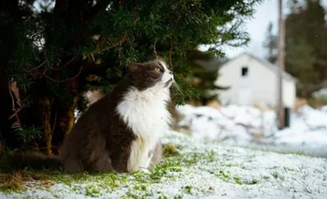 Погода на лівобережжі Херсонщини з 13 по 15 лютого: прогноз Українського гідрометеоцентру
