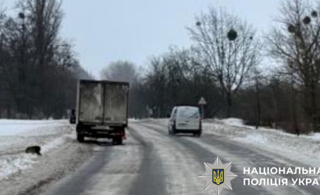 У Фастові водій під час обгону збив пішохода: правоохоронці розслідують обставини ДТП