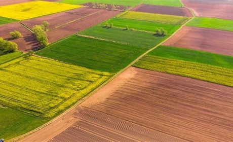 Незаконна реєстрація землі в Миргородському районі: посадовицю засудили до п’яти років