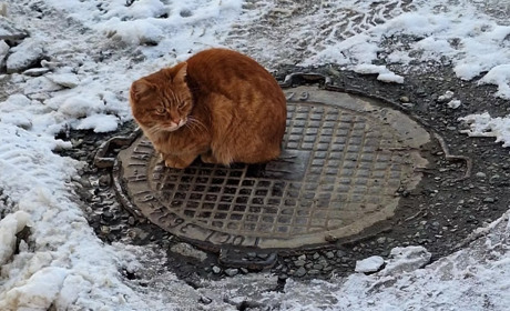 Погода на лівобережжі Херсонщини з 16 по 18 серпня: прогноз Українського гідрометеоцентру