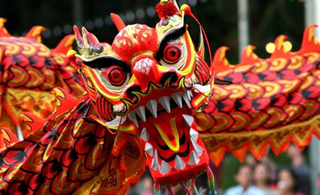 17 лютого: Китайський новий рік, День кота в Європі та інші дати, події, свята, народні прикмети