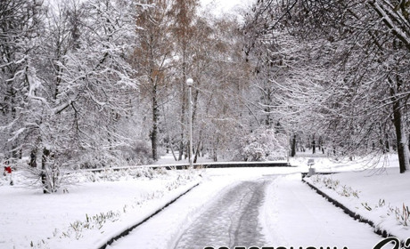 На Черкащині очікують значний сніг та хуртовини: прогноз на 19–20 лютого