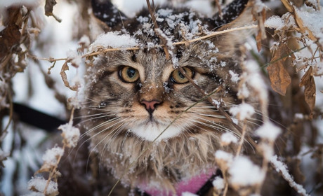 Погода на лівобережжі Херсонщини з 19 по 21 лютого: прогноз Українського гідрометеоцентру