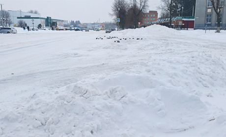 Курс на весну: Золотоноша пережила сніговий удар і готується до відлиги