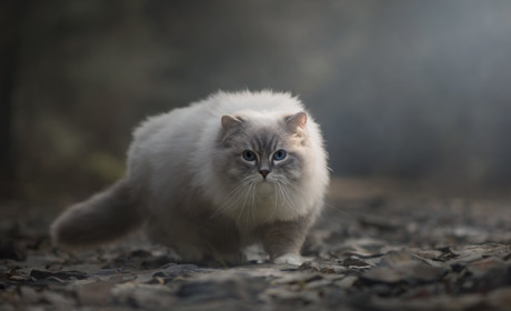 Погода на лівобережжі Херсонщини з 22 по 24 лютого: прогноз Українського гідрометеоцентру