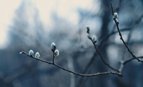 Якою буде погода у Гадячі в останню неділю лютого