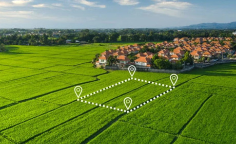 Як уникнути помилок при нарахуванні земельного податку: що треба знати фастівчанам