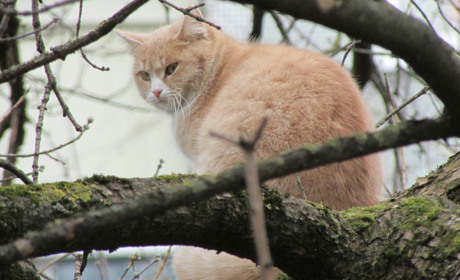 Погода на лівобережжі Херсонщини з 25 по 27 лютого: прогноз Українського гідрометеоцентру