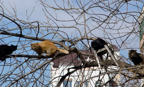 Погода на лівобережжі Херсонщини з 28 лютого по 2 березня: прогноз Українського гідрометеоцентру