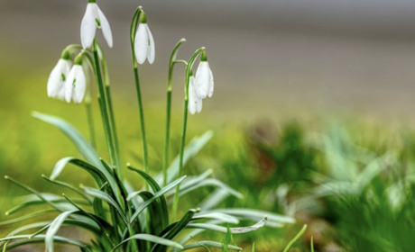 Погода на тиждень: чого чекати – тепла чи морозів