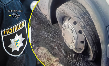 Водій вантажівки пробив колесо, потрапивши в яму на трасі на Переяславщині: хроніка поліції