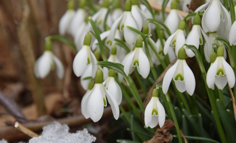 Березень 2026: Ключові зміни в соціальних виплатах, мобілізації та економіці