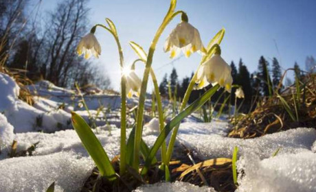 З 1 березня 2026 року: головні зміни для українців, які потрібно знати