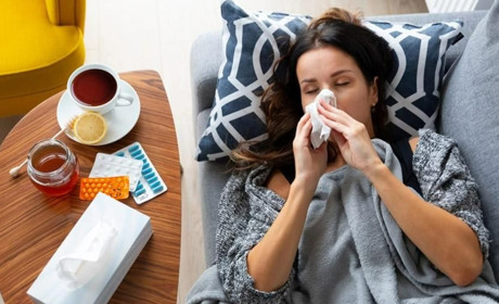 Житомирщина: ГРВІ б'є рекорди, але Звягельський район знижує темп