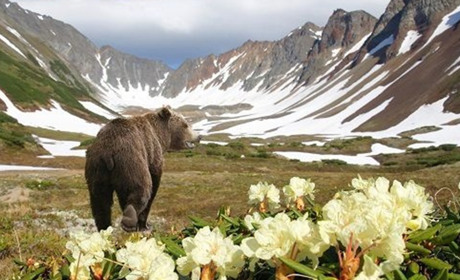 3 березня: Всесвітній день дикої природи та інші дати, свята, події й народні прикмети