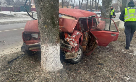 Водій ВАЗ не впорався з керуванням і врізався в дерево у Переяславі: хроніка поліції