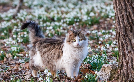 Погода на лівобережжі Херсонщини з 4 по 6 березня: прогноз Українського гідрометеоцентру