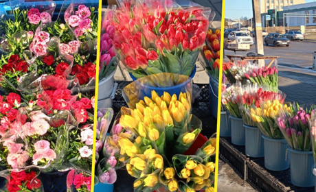 У Золотоноші запрацював квітковий базар просто неба