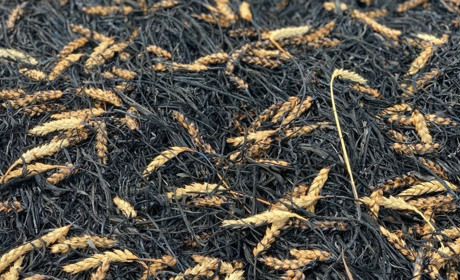 Уряд затвердив механізм визначення зон ризикованого землеробства