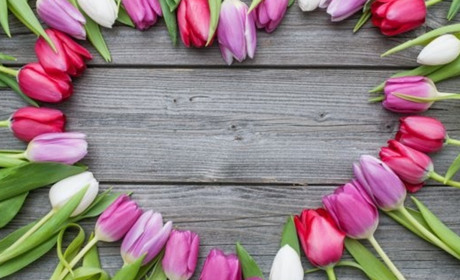 Свято весни. Які квіти люблять жінки, а які їм дарують чоловіки