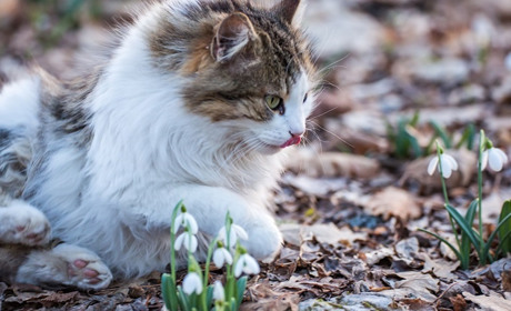 Погода на лівобережжі Херсонщини з 7 по 9 березня: прогноз Українського гідрометеоцентру