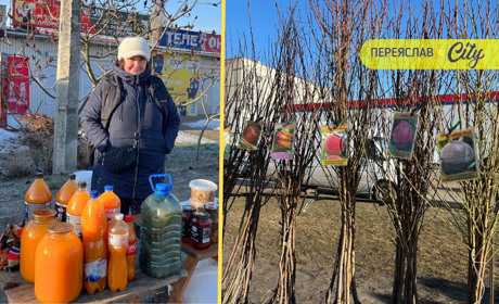 На базарі в Переяславі почали продавати саджанці дерев, за сакуру правлять триста гривень