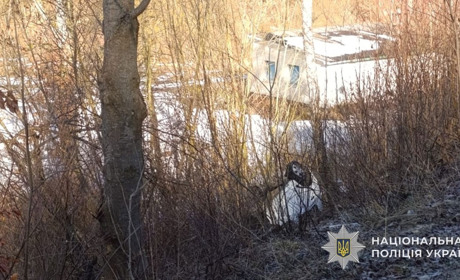 Несподівана знахідка на обʼїзній дорозі в Кременці: що відомо