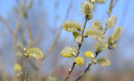 Погода у Старокостянтинові на 10-15 березня: йде справжнє потепління