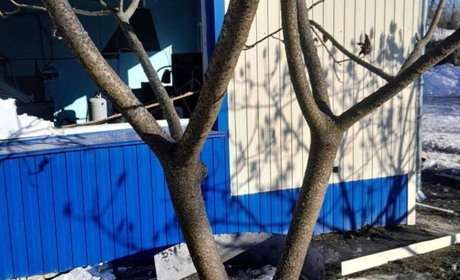 Внаслідок авіаудару по Глухову загинув 27-річний чоловік