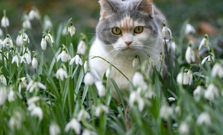 Погода на лівобережжі Херсонщини з 11 по 13 березня: прогноз Українського гідрометеоцентру