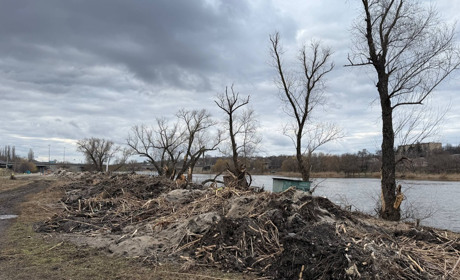 Кажуть, буде казка: перший зам міського голови Первомайська прокоментував роботи на пляжі