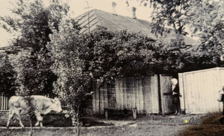 У Переяславі є "Тарапонів хутір", про який зі світлинами розповіла спадкоємиця козацького роду