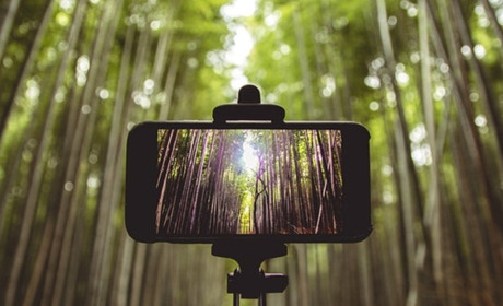 16 березня: День без селфі, День панди та побутового обслуговування, інші дати, свята, події