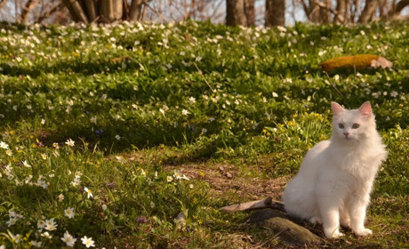 Погода на лівобережжі Херсонщини з 17 по 19 березня: прогноз Українського гідрометеоцентру